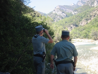 observation2