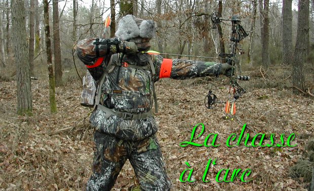 Chasse à l'arc: une chasse de spécialistes - Fédérations des Chasseurs des  Alpes-Maritimes