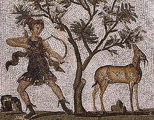 chasseresse