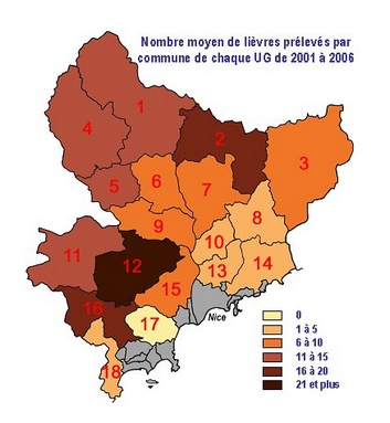 lievre_prelevement2