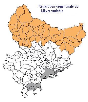 lievre_variable2010
