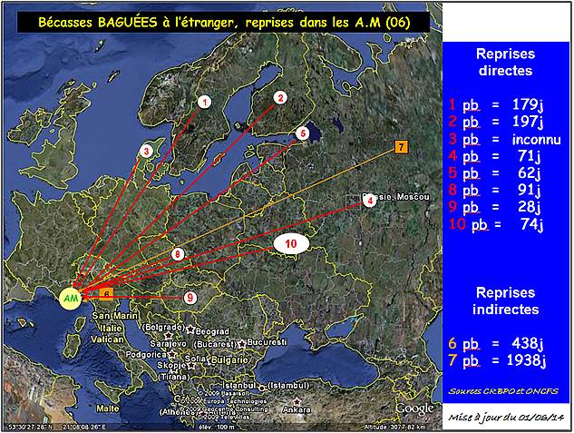 migration_becasse