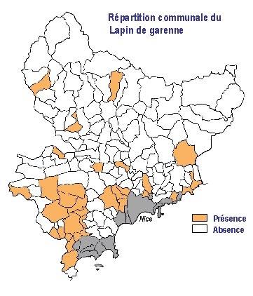 repart_lapin2010