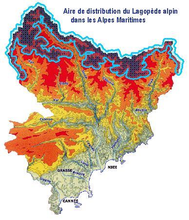 repartition_lagopede2010