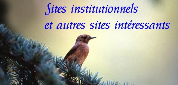 divers_sites